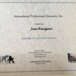 JGP IPG certificate