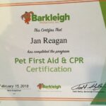 Pet First Aid Certificate JGP