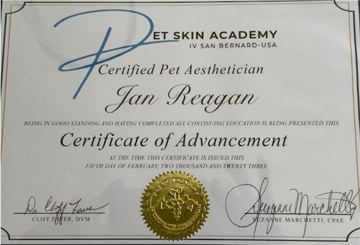 JGP Advanced Skin Therapy Certificate 2023